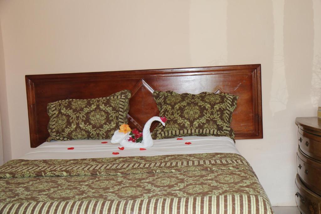 Executive Shaw Park Guest House Ocho Rios Pokoj fotografie