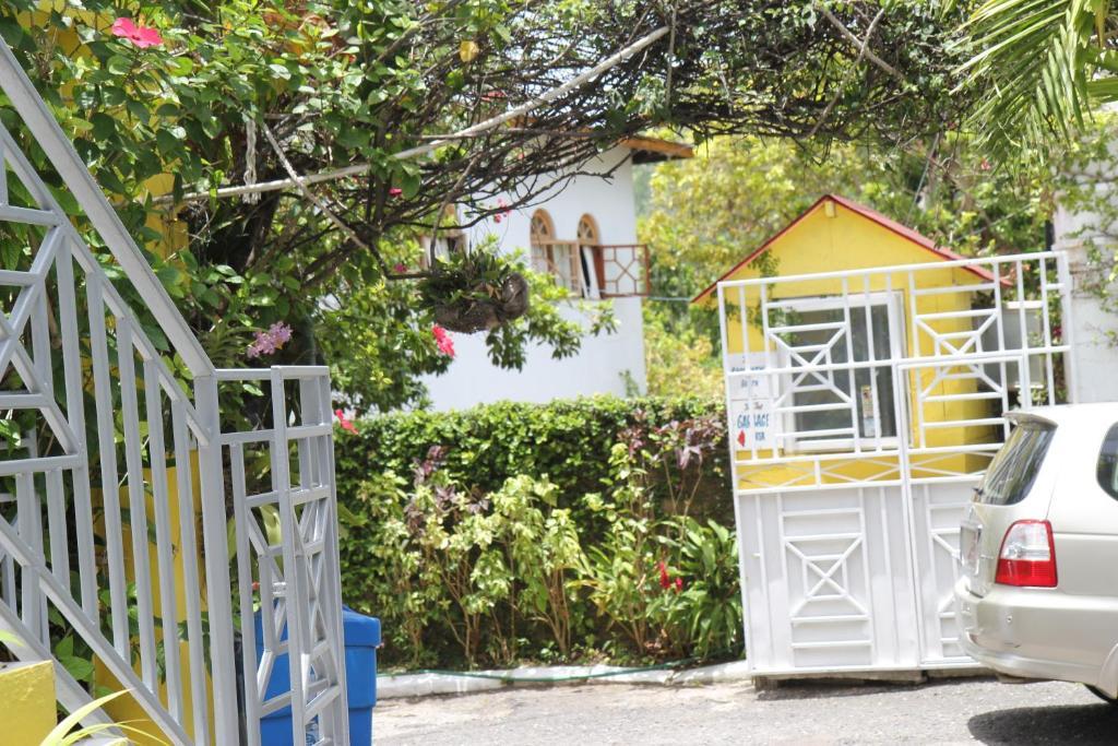 Executive Shaw Park Guest House Ocho Rios Exteriér fotografie