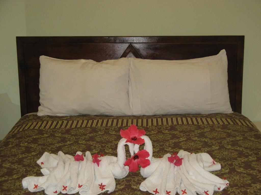 Executive Shaw Park Guest House Ocho Rios Exteriér fotografie