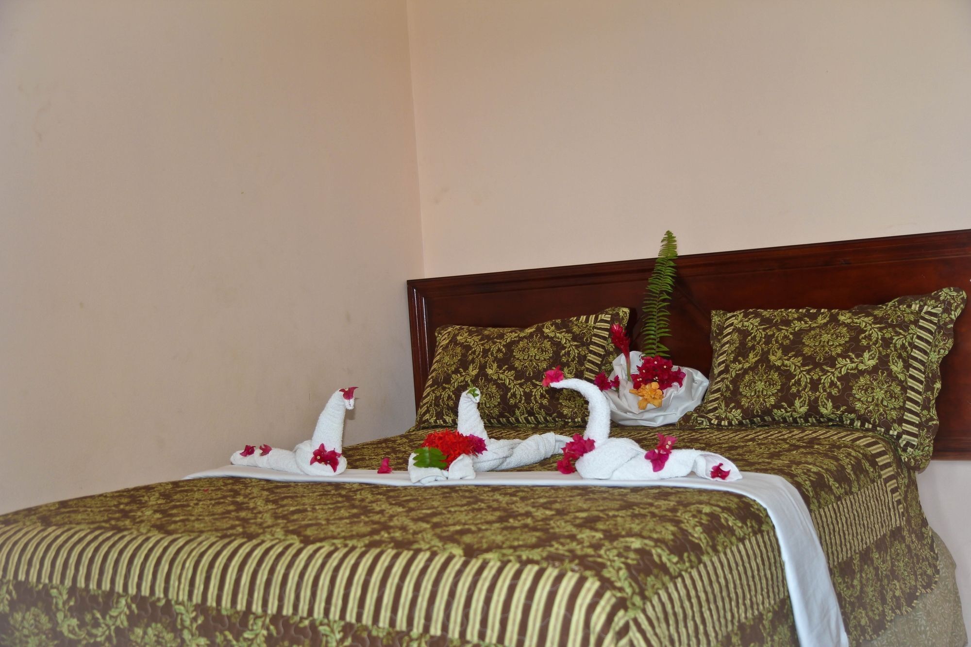 Executive Shaw Park Guest House Ocho Rios Exteriér fotografie