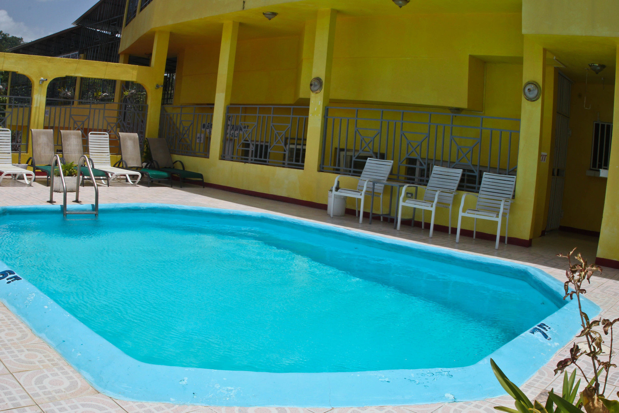 Executive Shaw Park Guest House Ocho Rios Exteriér fotografie